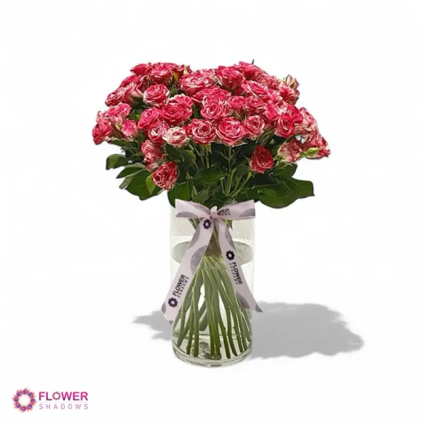 20 Double Color Baby Rose | Vase - Image 2