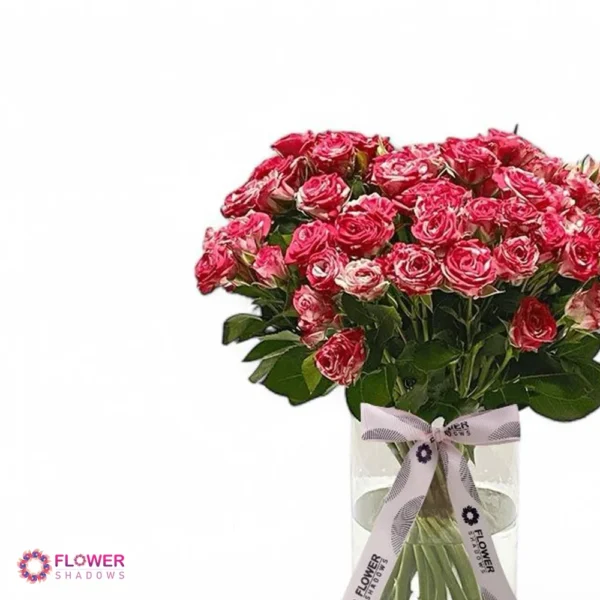 20 Double Color Baby Rose | Vase - Image 3