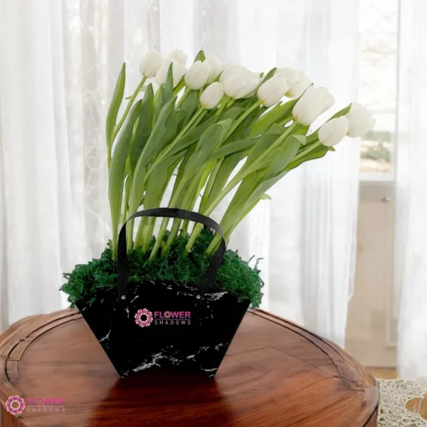 Tulips