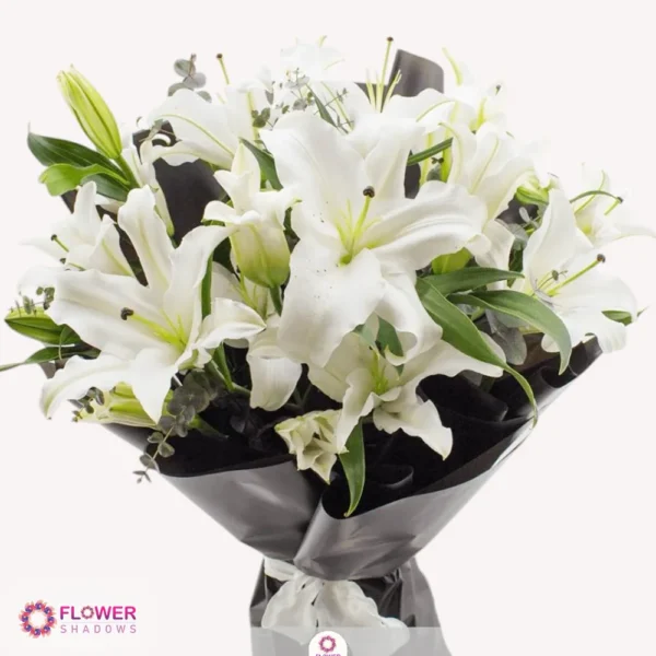 10pcs Casa Blanca - Image 3