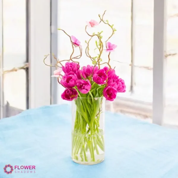 Purple tulip in vase