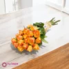 Orange Roses