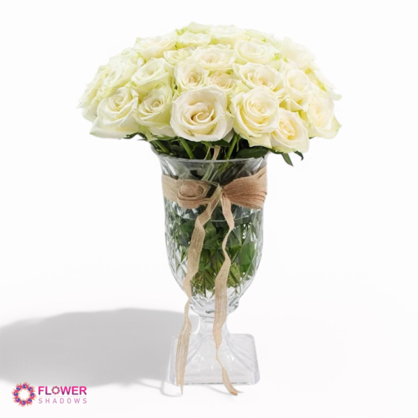 42 White Roses | Cylinder Vase - Image 2
