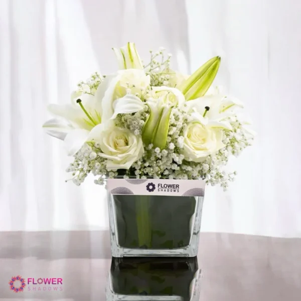 Lillies