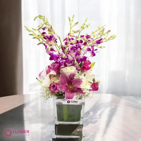 Orchid