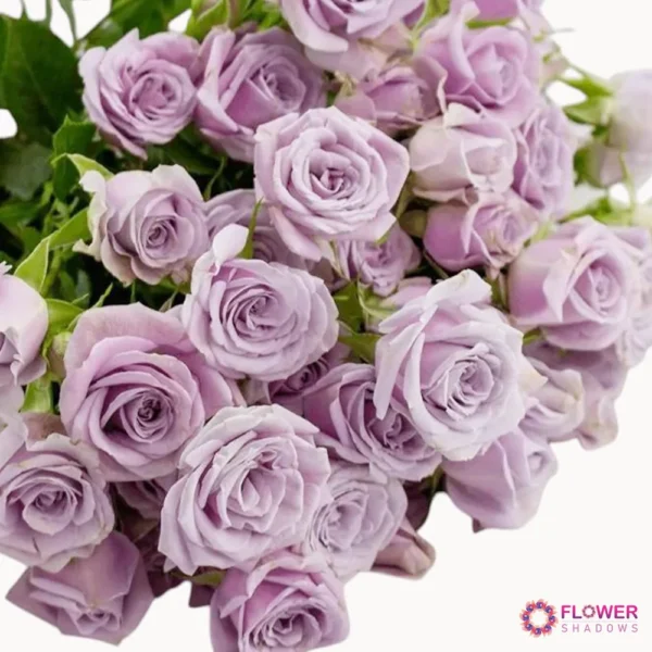⁦10pcs Baby Roses | Hand Bouquet⁩ - الصورة ⁦3⁩