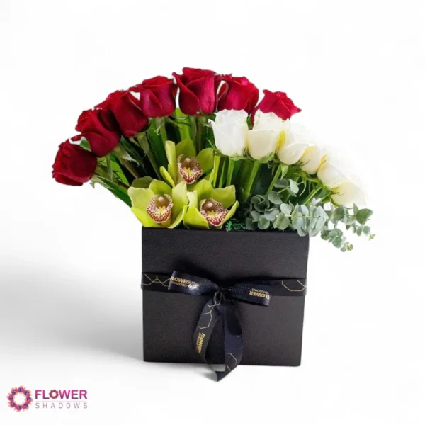 Red & White Roses