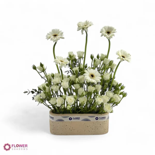 ⁦Elegant White Daisy⁩ - الصورة ⁦2⁩