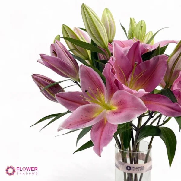 ⁦Blooming Lily Elegance⁩ - الصورة ⁦3⁩