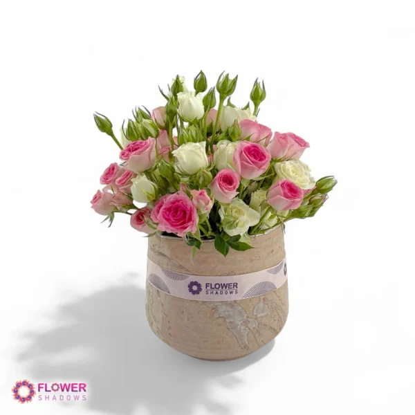 ⁦Soft Pink & White Baby Rose⁩ - الصورة ⁦2⁩