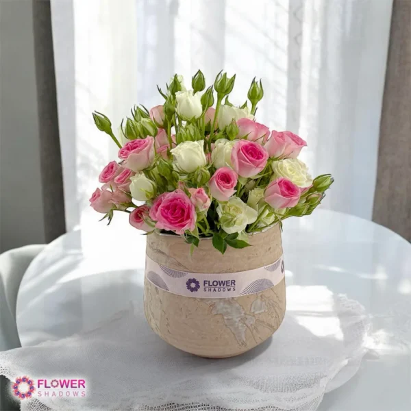Baby Rose