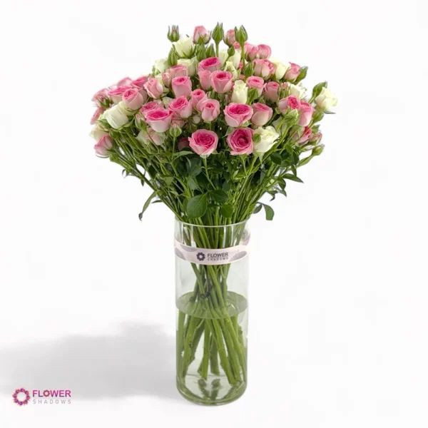 ⁦Elegant Baby Rose Harmony⁩ - الصورة ⁦2⁩
