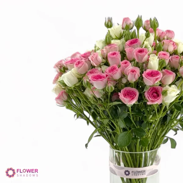 ⁦Elegant Baby Rose Harmony⁩ - الصورة ⁦3⁩