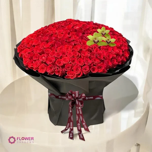 Romantic Red Roses