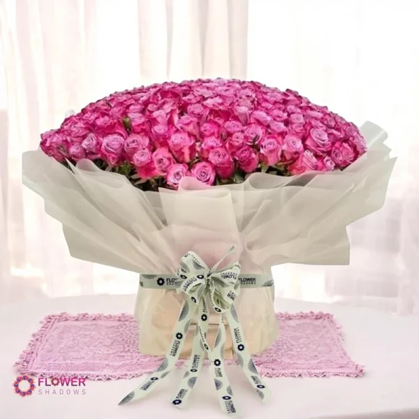 Blush Pink Rose