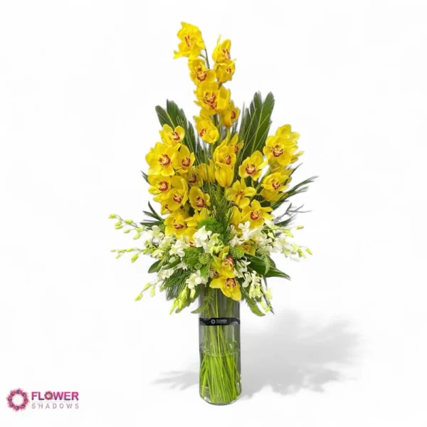 ⁦Cymbidium & Orchids⁩ - الصورة ⁦2⁩